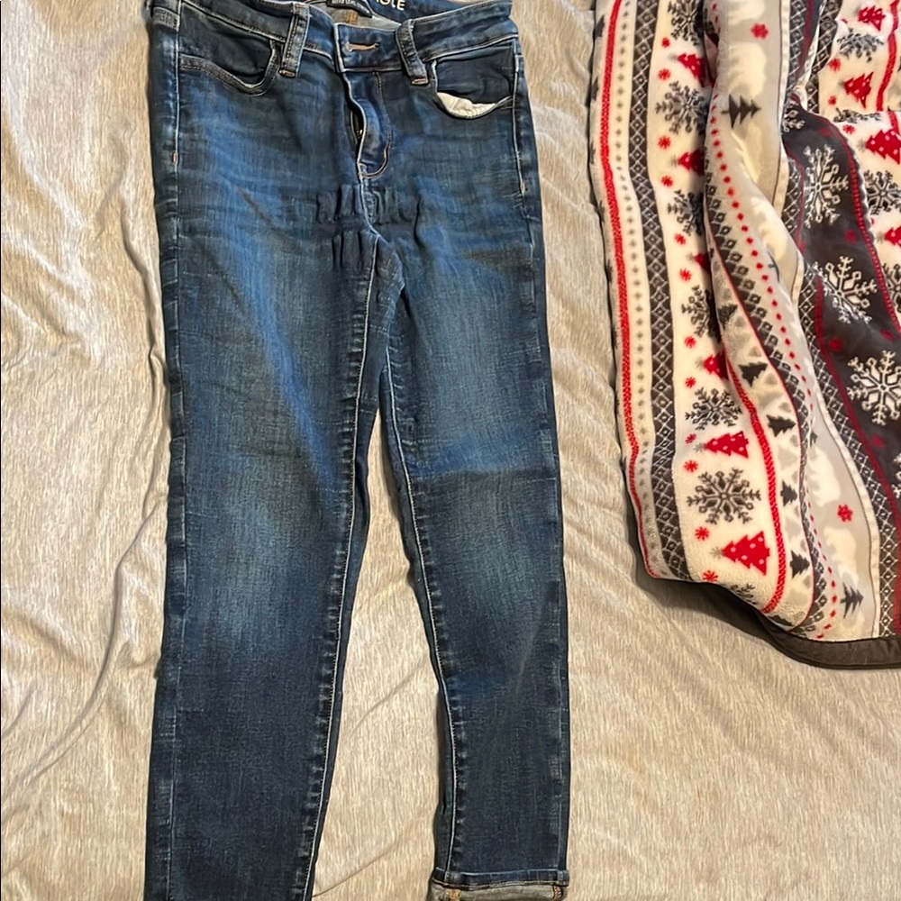 American Eagle Outfitters Crop Skinny Jeans
